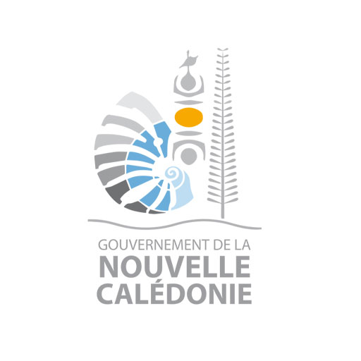 Gouvernement NC